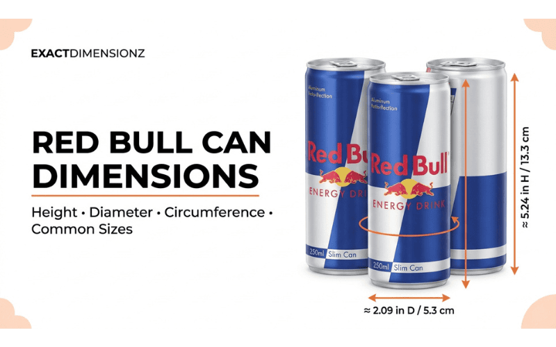 Red Bull can dimensions