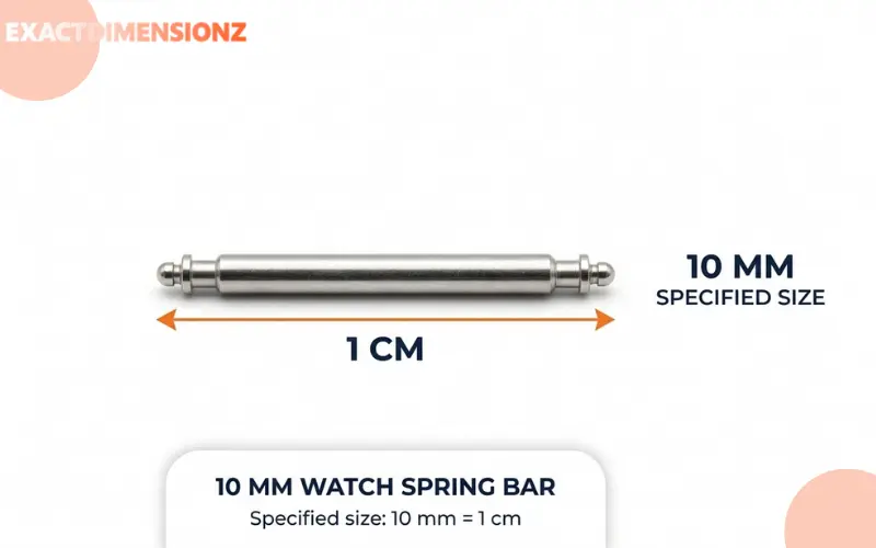 How Big is 1 CM