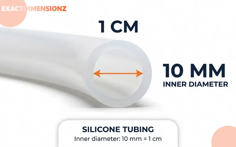 How Big is 1 CM