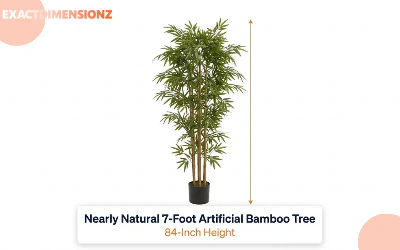 How Long Is 7 Feet