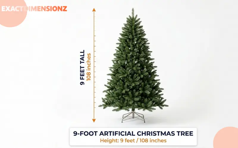 How Long Is 9 Feet