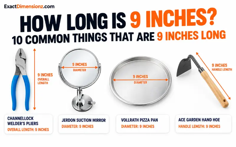 How Long Is 9 Inches