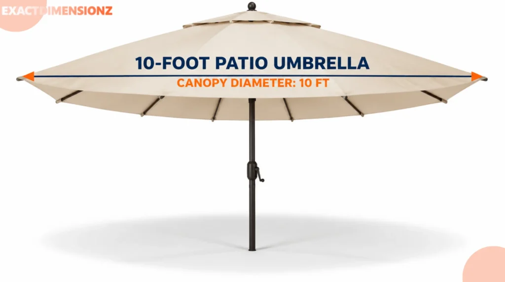 how long is 10 feet