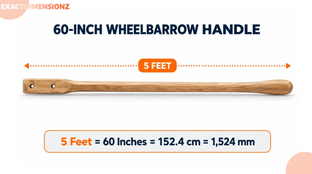 how long is 5 feet